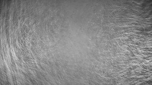 Ski areál Branná - Ski areál Branná - 21.12.2025 v 02:05 Ski areál Branná - Ski areál Branná - 21.12.2025 v 02:05