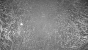 Ski areál Branná - Ski areál Branná - 21.12.2025 v 02:15 Ski areál Branná - Ski areál Branná - 21.12.2025 v 02:15