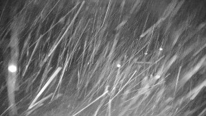 Ski areál Branná - Ski areál Branná - 25.12.2025 v 00:10 Ski areál Branná - Ski areál Branná - 25.12.2025 v 00:10