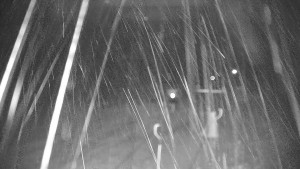 Ski areál Branná - Ski areál Branná - 25.12.2025 v 01:50 Ski areál Branná - Ski areál Branná - 25.12.2025 v 01:50