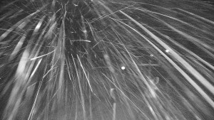 Ski areál Branná - Ski areál Branná - 25.12.2025 v 02:20 Ski areál Branná - Ski areál Branná - 25.12.2025 v 02:20