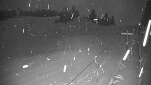 Ski areál Branná - Ski areál Branná - 4.1.2026 v 01:10 Ski areál Branná - Ski areál Branná - 4.1.2026 v 01:10