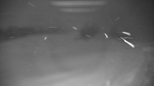 Ski areál Branná - Ski areál Branná - 22.2.2026 v 04:35 Ski areál Branná - Ski areál Branná - 22.2.2026 v 04:35