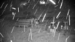 Ski areál Branná - Ski areál Branná - 27.3.2026 v 02:05 Ski areál Branná - Ski areál Branná - 27.3.2026 v 02:05