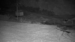 Ski areál Branná