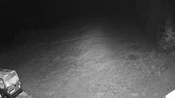 Snímek    1.11.2025 v 01:55