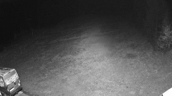 Snímek    2.11.2025 v 23:25