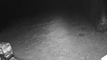 Snímek    3.11.2025 v 00:35