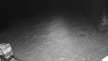 Snímek    3.11.2025 v 01:50