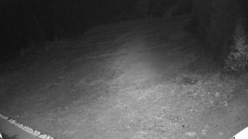 Snímek 5.11.2025 v 00:35