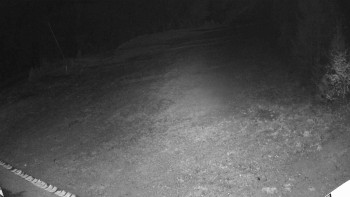 Snímek 5.11.2025 v 02:25