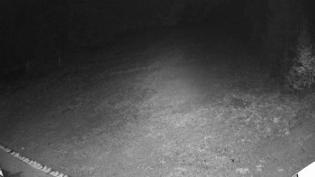 Snímek 5.11.2025 v 03:55