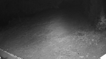 Snímek 5.11.2025 v 04:25