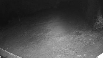 Snímek 5.11.2025 v 04:30