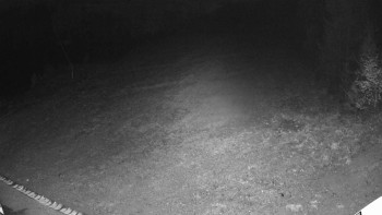 Snímek 5.11.2025 v 05:00