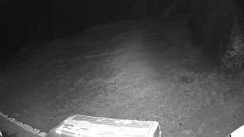 Snímek 6.11.2025 v 00:50