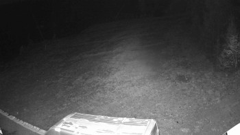 Snímek 6.11.2025 v 20:40