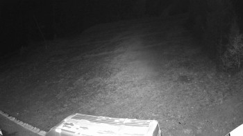 Snímek 7.11.2025 v 02:55