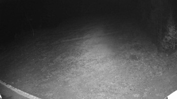 Snímek 7.11.2025 v 17:35