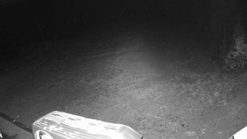 Snímek 8.11.2025 v 20:35