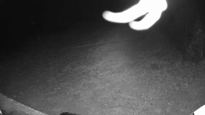 Ski areál SEVERKA v Dolní Lomné - Sjezdovka SEVERKA - 14.11.2025 v 00:10 Ski areál SEVERKA v Dolní Lomné - Sjezdovka SEVERKA - 14.11.2025 v 00:10