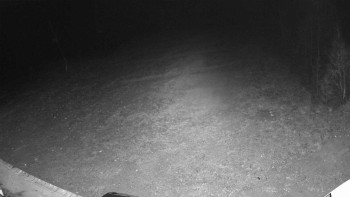 Snímek 14.11.2025 v 05:20