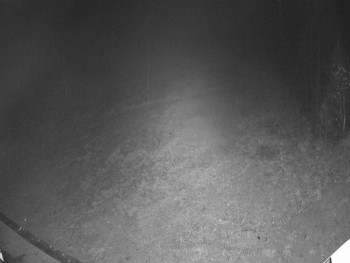 Snímek 15.11.2025 v 20:25