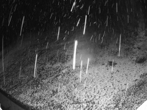 Ski areál SEVERKA v Dolní Lomné - Sjezdovka SEVERKA - 18.11.2025 v 00:00 Ski areál SEVERKA v Dolní Lomné - Sjezdovka SEVERKA - 18.11.2025 v 00:00