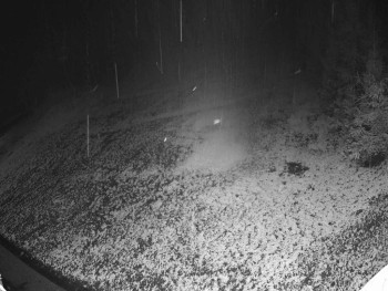 Snímek 18.11.2025 v 00:15