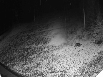 Snímek 18.11.2025 v 02:55