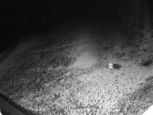 Ski areál SEVERKA v Dolní Lomné - Sjezdovka SEVERKA - 18.11.2025 v 03:00 Ski areál SEVERKA v Dolní Lomné - Sjezdovka SEVERKA - 18.11.2025 v 03:00