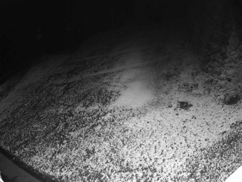 Snímek 18.11.2025 v 06:00