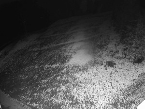 Ski areál SEVERKA v Dolní Lomné - Sjezdovka SEVERKA - 18.11.2025 v 17:00 Ski areál SEVERKA v Dolní Lomné - Sjezdovka SEVERKA - 18.11.2025 v 17:00