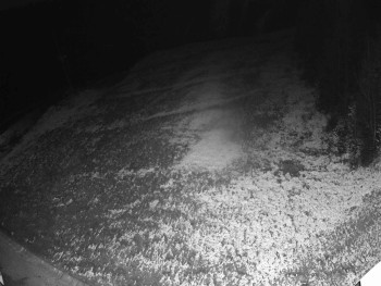 Snímek 19.11.2025 v 16:55