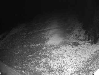 Snímek 19.11.2025 v 19:55