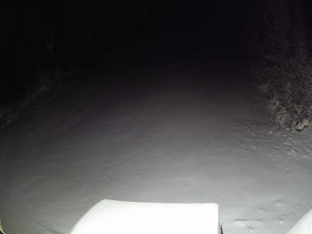 Snímek 24.11.2025 v 02:50