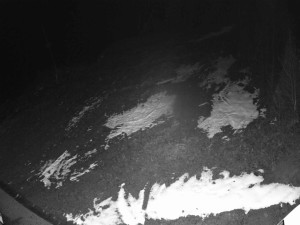 Ski areál SEVERKA v Dolní Lomné - Sjezdovka SEVERKA - 7.12.2025 v 02:05 Ski areál SEVERKA v Dolní Lomné - Sjezdovka SEVERKA - 7.12.2025 v 02:05