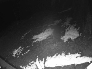 Ski areál SEVERKA v Dolní Lomné - Sjezdovka SEVERKA - 7.12.2025 v 04:00 Ski areál SEVERKA v Dolní Lomné - Sjezdovka SEVERKA - 7.12.2025 v 04:00