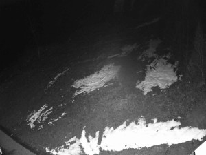 Ski areál SEVERKA v Dolní Lomné - Sjezdovka SEVERKA - 7.12.2025 v 05:00 Ski areál SEVERKA v Dolní Lomné - Sjezdovka SEVERKA - 7.12.2025 v 05:00