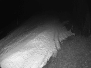 Ski areál SEVERKA v Dolní Lomné - Sjezdovka SEVERKA - 10.3.2026 v 04:00 Ski areál SEVERKA v Dolní Lomné - Sjezdovka SEVERKA - 10.3.2026 v 04:00