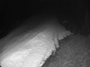 Ski areál SEVERKA v Dolní Lomné - Sjezdovka SEVERKA - 10.3.2026 v 19:00 Ski areál SEVERKA v Dolní Lomné - Sjezdovka SEVERKA - 10.3.2026 v 19:00