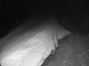 Ski areál SEVERKA v Dolní Lomné - Sjezdovka SEVERKA - 10.3.2026 v 21:00 Ski areál SEVERKA v Dolní Lomné - Sjezdovka SEVERKA - 10.3.2026 v 21:00