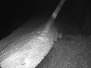 Ski areál SEVERKA v Dolní Lomné - Sjezdovka SEVERKA - 16.3.2026 v 00:10 Ski areál SEVERKA v Dolní Lomné - Sjezdovka SEVERKA - 16.3.2026 v 00:10