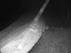 Ski areál SEVERKA v Dolní Lomné - Sjezdovka SEVERKA - 16.3.2026 v 00:35 Ski areál SEVERKA v Dolní Lomné - Sjezdovka SEVERKA - 16.3.2026 v 00:35