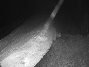 Ski areál SEVERKA v Dolní Lomné - Sjezdovka SEVERKA - 16.3.2026 v 02:50 Ski areál SEVERKA v Dolní Lomné - Sjezdovka SEVERKA - 16.3.2026 v 02:50