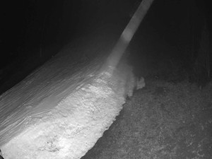 Ski areál SEVERKA v Dolní Lomné - Sjezdovka SEVERKA - 16.3.2026 v 03:25 Ski areál SEVERKA v Dolní Lomné - Sjezdovka SEVERKA - 16.3.2026 v 03:25