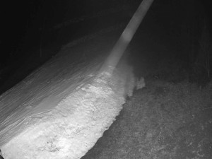 Ski areál SEVERKA v Dolní Lomné - Sjezdovka SEVERKA - 16.3.2026 v 03:35 Ski areál SEVERKA v Dolní Lomné - Sjezdovka SEVERKA - 16.3.2026 v 03:35