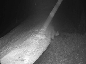 Ski areál SEVERKA v Dolní Lomné - Sjezdovka SEVERKA - 16.3.2026 v 04:10 Ski areál SEVERKA v Dolní Lomné - Sjezdovka SEVERKA - 16.3.2026 v 04:10