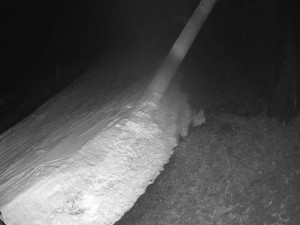 Ski areál SEVERKA v Dolní Lomné - Sjezdovka SEVERKA - 16.3.2026 v 04:20 Ski areál SEVERKA v Dolní Lomné - Sjezdovka SEVERKA - 16.3.2026 v 04:20