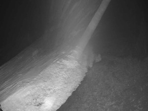 Ski areál SEVERKA v Dolní Lomné - Sjezdovka SEVERKA - 16.3.2026 v 04:30 Ski areál SEVERKA v Dolní Lomné - Sjezdovka SEVERKA - 16.3.2026 v 04:30